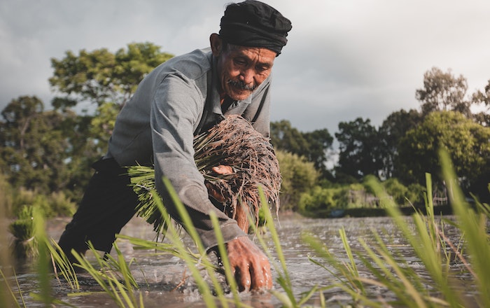 International Labour Day