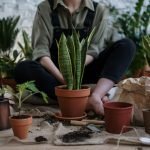 Enhancing Your Garden's Floral Splendor